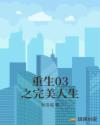 重生03之完美人生
