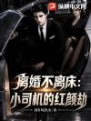 离婚不离床:小司机的红颜劫