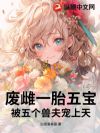 �ϴ�һ̥�屦��������޷������
